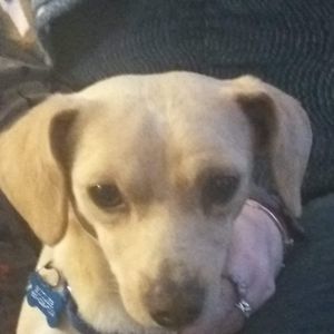 Meet your Posher, Stacey